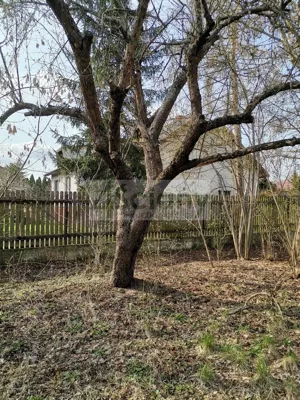 Działka 2 555,00 m², Konstancin-Jeziorna, Sprzedaż