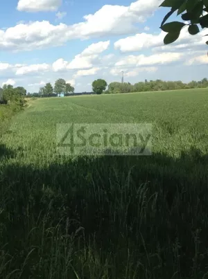 Działka 2 348,00 m², Kotowice, Sprzedaż
