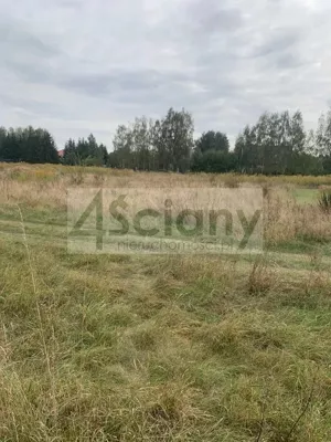 Działka 1 784,00 m², Kozery, Sprzedaż
