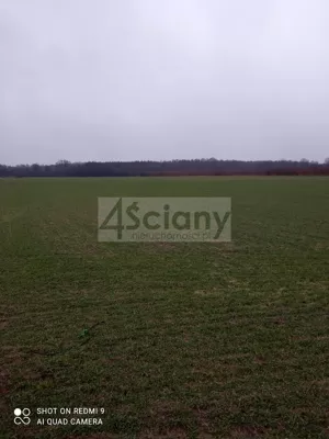 Działka 3 000,00 m², Kromnów, Sprzedaż