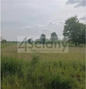 Działka 3 000,00 m², Książenice, Sprzedaż