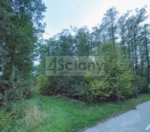 Działka 4 000,00 m², Książenice, Sprzedaż