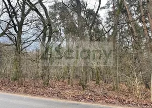 Działka 6 500,00 m², Książenice, Sprzedaż