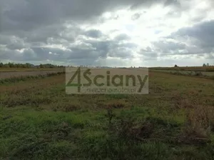 Działka 2 635,00 m², Łady, Sprzedaż
