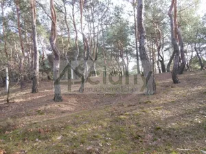 Działka 1 705,00 m², Legionowo, Sprzedaż