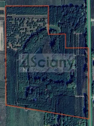 Działka 84 400,00 m², Lewiczyn, Sprzedaż