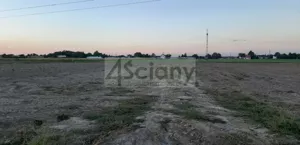 Działka 22 000,00 m², Macierzysz, Sprzedaż