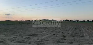 Działka 5 958,00 m², Macierzysz, Sprzedaż