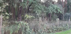 Działka 3 500,00 m², Magdalenka, Sprzedaż