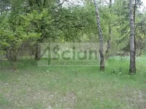 Działka 6 800,00 m², Marynin, Sprzedaż
