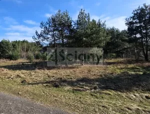 Działka 2 100,00 m², Marynin, Sprzedaż