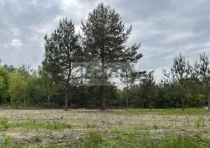 Działka 3 155,00 m², Marynin, Sprzedaż