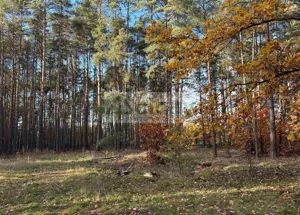 Działka 4 000,00 m², Marynin, Sprzedaż