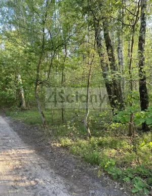 Działka 2 605,00 m², Marynin, Sprzedaż