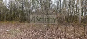 Działka 6 307,00 m², Milanówek, Sprzedaż