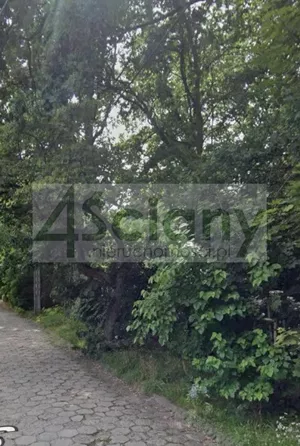 Działka 2 500,00 m², Milanówek, Sprzedaż