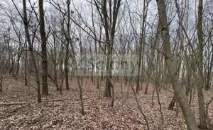 Działka 2 000,00 m², Milanówek, Sprzedaż