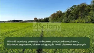 Działka 24 900,00 m², Młochów, Sprzedaż