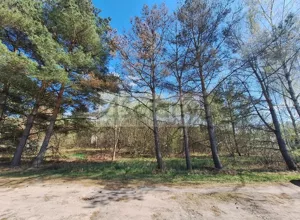 Działka 1 436,00 m², Musuły, Sprzedaż