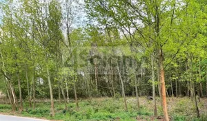 Działka 6 678,00 m², Nadarzyn, Sprzedaż