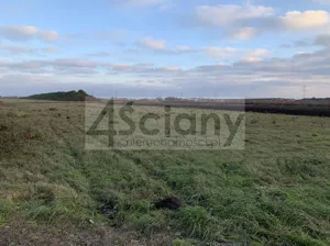 Działka 9 900,00 m², Nowa Wola, Sprzedaż