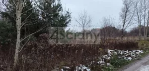 Działka 3 600,00 m², Nowy Prażmów, Sprzedaż