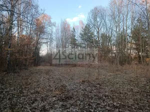 Działka 1 250,00 m², Ojrzanów, Sprzedaż