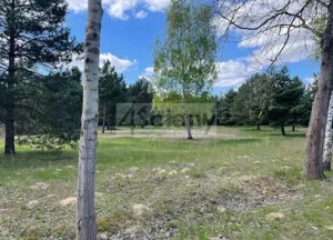 Działka 1 247,00 m², Ojrzanów, Sprzedaż