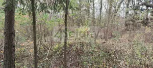 Działka 1 500,00 m², Ojrzanów, Sprzedaż