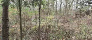 Działka 1 500,00 m², Ojrzanów, Sprzedaż