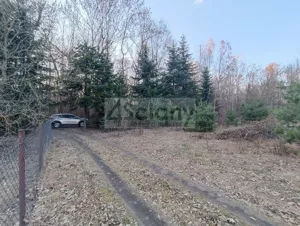 Działka 3 100,00 m², Ojrzanów, Sprzedaż