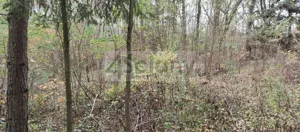Działka 3 000,00 m², Ojrzanów, Sprzedaż