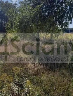 Działka 1 160,00 m², Ojrzanów, Sprzedaż