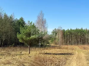 Działka 5 518,00 m², Ojrzanów, Sprzedaż