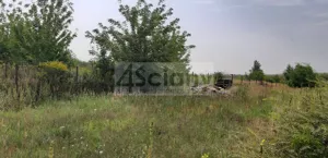 Działka 7 521,00 m², Opacz-Kolonia, Sprzedaż