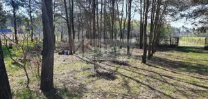 Działka 4 462,00 m², Orzeszyn, Sprzedaż