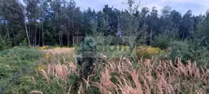 Działka 2 327,00 m², Osowiec, Sprzedaż