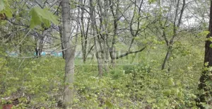 Działka 4 686,00 m², Piastów, Sprzedaż