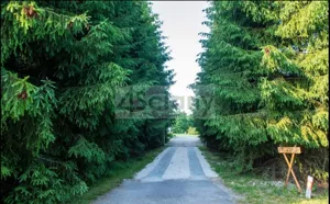 Działka 5 000,00 m², Pieńki Zarębskie, Sprzedaż