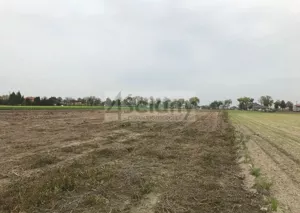 Działka 57 400,00 m², Płochocin, Sprzedaż