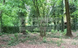 Działka 2 313,00 m², Podkowa Leśna, Sprzedaż