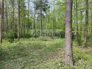 Działka 2 761,00 m², Podkowa Leśna, Sprzedaż