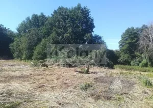 Działka 18 000,00 m², Podkowa Leśna, Sprzedaż