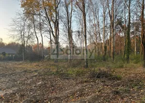 Działka 1 100,00 m², Podkowa Leśna, Sprzedaż