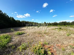 Działka 3 096,00 m², Popielżyn-Zawady, Sprzedaż