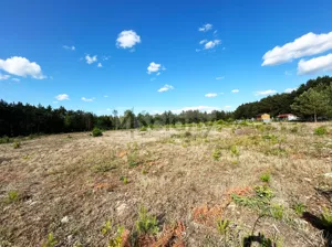 Działka 3 000,00 m², Popielżyn-Zawady, Sprzedaż