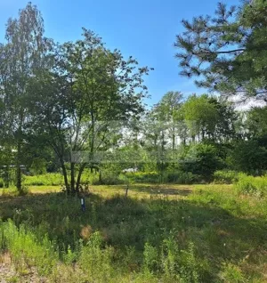 Działka 3 000,00 m², Radonie, Sprzedaż