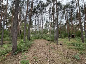 Działka 1 789,00 m², Radzymin, Sprzedaż