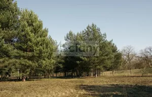 Działka 2 121,00 m², Rajszew, Sprzedaż