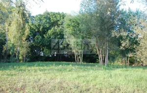 Działka 1 113,00 m², Reguły, Sprzedaż